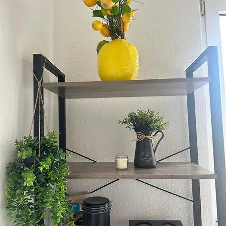 Gemuetliche 1-zimmer-wohnung Im Zentrum Mit Stellplatz Apartment