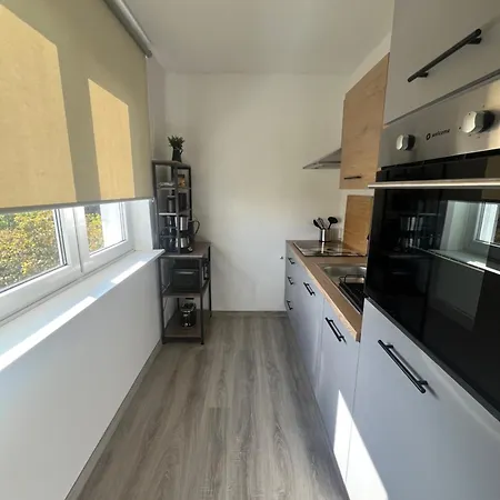 Gemuetliche 1-zimmer-wohnung Im Zentrum Mit Stellplatz Apartment Magdeburg