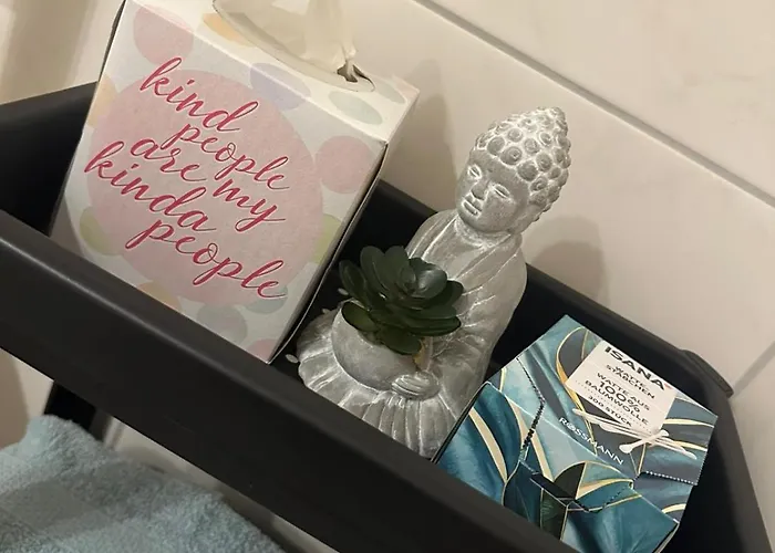 Gemütliche 1-zimmer-wohnung Im Zentrum Mit Stellplatz Magdeburg