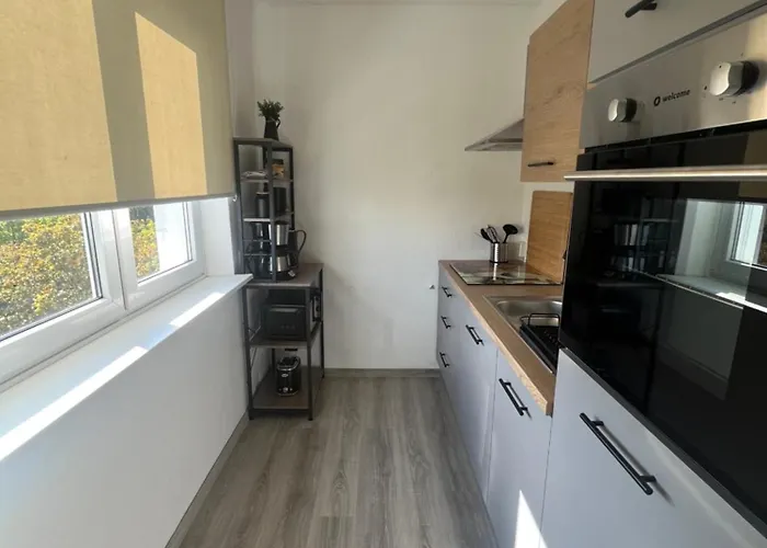 Gemuetliche 1-zimmer-wohnung Im Zentrum Mit Stellplatz Lejlighed Magdeburg