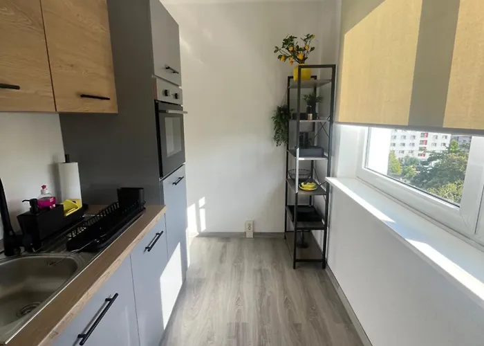 Gemütliche 1-zimmer-wohnung Im Zentrum Mit Stellplatz *